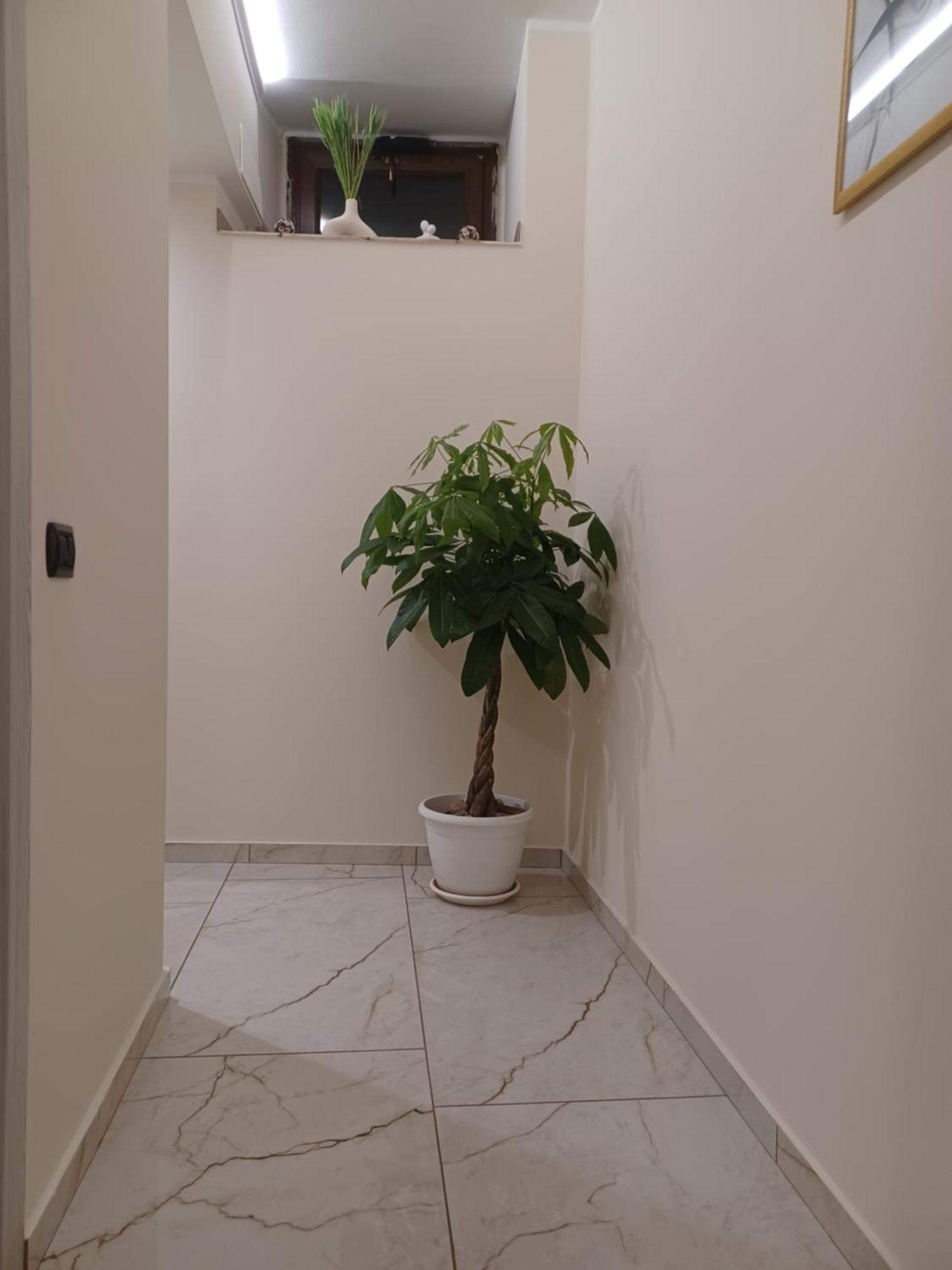 Soleil Hotel Никозия Екстериор снимка